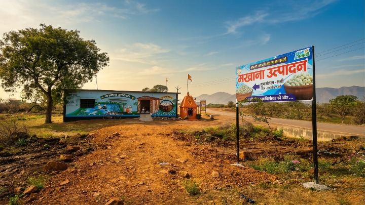 धमतरी बनेगा 'मखाना हब': वनांचल की महिलाओं के लिए समृद्धि का नया द्वार; 100 एकड़ में खेती की तैयारी, मखाना बोर्ड में भी हुआ शामिल