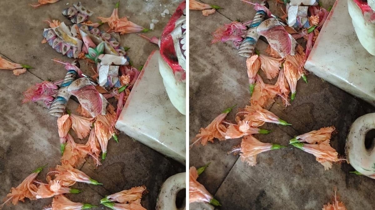 छत्तीसगढ़: बिलासपुर में मंदिर में तोड़फोड़, भगवान गणेश की मूर्ति खंडित—हनुमान जी के चांदी के नयन चोरी, जनता में आक्रोश