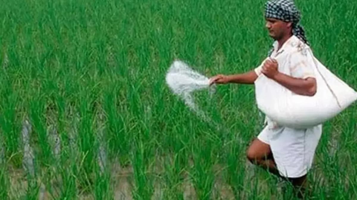 छत्तीसगढ़ में DAP की कमी नहीं — सरकार का भरोसा, पर्याप्त स्टॉक मौजूद
