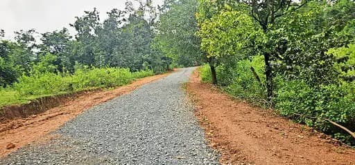 सन्नाटा डराता था, सड़क बनने से बदली तस्वीर: बस्तर की एक नई पहचान