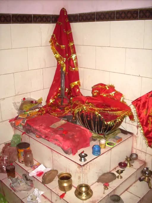शारदीय नवरात्रि की शुरुआत: सरगुजा में मां भगवती की पूजा विविध रूपों में