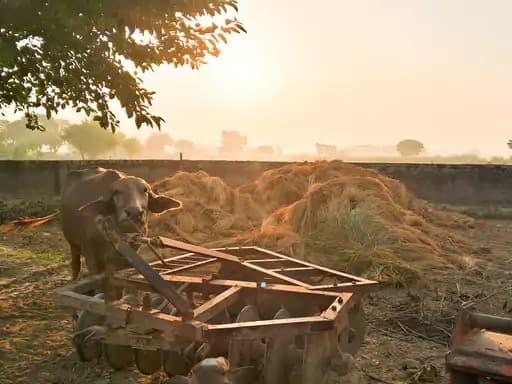 उत्तर प्रदेश के अलीगढ़ जिले की नहल पंचायत में किसानों ने पर्यावरण संरक्षण की दिशा में एक सराहनीय पहल की है।