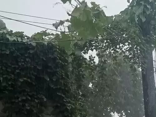 24 घंटे में भारी बारिश की चेतावनी: बस्तर से सरगुजा तक बरसेगा पानी
