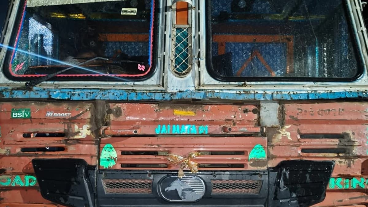 दुर्ग में तेज़ रफ्तार कंटेनर से आठ गायों की मौत, चालक फरार लेकिन पकड़ा गया