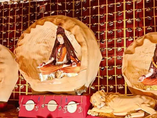 बिलासपुर में दुर्गोत्सव के दौरान मसानगंज क्षेत्र में नवयुवक दुर्गोत्सव समिति द्वारा आयोजित पंडाल आकर्षण का केंद्र बना हुआ है।