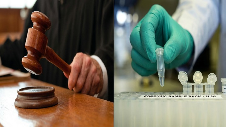 केरल हाई कोर्ट का ऐतिहासिक फैसला: 'ब्रेन डेड' पति के स्पर्म सुरक्षित रखने की मिली अनुमति; 7 अप्रैल 2026 को होगी अगली सुनवाई